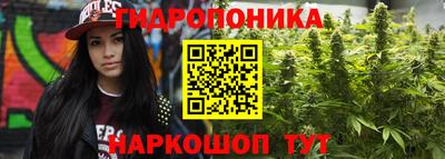индика Коммунар